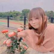 ヒメ日記 2025/10/19 07:04 投稿 いちか（超かわいい癒し系ＮＨ！ ハニービー（Honey Bee）