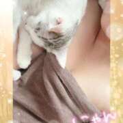 ヒメ日記 2025/08/18 23:30 投稿 いぶき One More奥様 大宮店