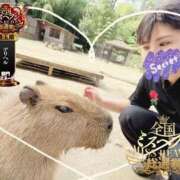 ヒメ日記 2025/10/17 18:20 投稿 いぶき One More奥様 大宮店