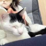 ヒメ日記 2026/03/20 10:56 投稿 いぶき One More奥様 大宮店