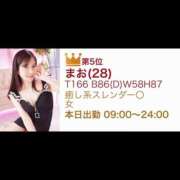 ヒメ日記 2026/04/01 10:33 投稿 まお ハピネス札幌