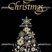 ヒメ日記 2025/12/24 07:54 投稿 わかな 佐賀人妻デリヘル 「デリ夫人」