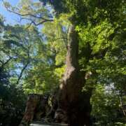 ヒメ日記 2025/08/22 23:13 投稿 め　あ ママれもん葛西店