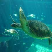 ヒメ日記 2025/08/29 23:40 投稿 め　あ ママれもん葛西店