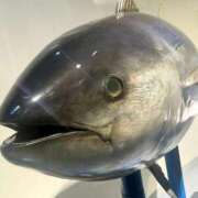 ヒメ日記 2025/09/03 23:53 投稿 め　あ ママれもん葛西店