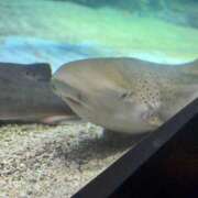 ヒメ日記 2025/09/23 23:42 投稿 め　あ ママれもん葛西店