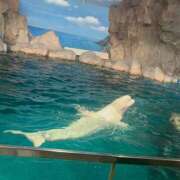 ヒメ日記 2025/10/27 13:17 投稿 め　あ ママれもん葛西店