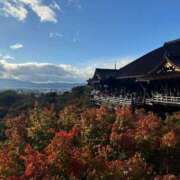 め　あ おはようございます🌈🌼*･ ママれもん葛西店