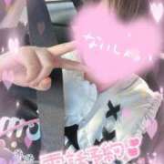 ヒメ日記 2025/08/19 17:48 投稿 らら 静岡駅前ちゃんこ