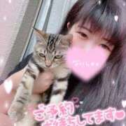 ヒメ日記 2025/09/21 20:18 投稿 らら 静岡駅前ちゃんこ