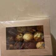 ヒメ日記 2026/01/31 11:21 投稿 菜々美【ナナミ】 ピンクコレクション大阪