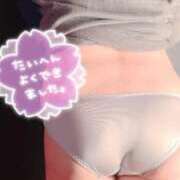 ヒメ日記 2025/12/07 20:20 投稿 りょうこ 素人妻御奉仕倶楽部Hip's西川口店