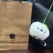 ヒメ日記 2026/03/22 18:05 投稿 りょうこ 美熟女倶楽部Hip's西川口店