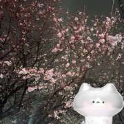 ののは ののは！ ∞ (はっち)