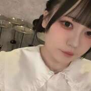 ののは にゃんこ ∞ (はっち)