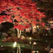 ヒメ日記 2025/11/04 15:47 投稿 うる 花火-hanabi-(すすきの)