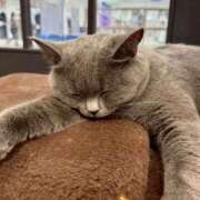 ヒメ日記 2025/11/04 18:48 投稿 うる 花火-hanabi-(すすきの)