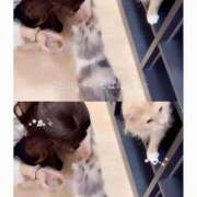 ヒメ日記 2025/11/13 19:03 投稿 うる 花火-hanabi-(すすきの)