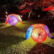 ヒメ日記 2025/11/28 08:50 投稿 うる 花火-hanabi-(すすきの)