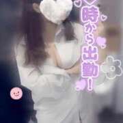 ヒメ日記 2026/01/24 07:03 投稿 うる 花火-hanabi-(すすきの)