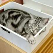 ヒメ日記 2026/01/31 15:15 投稿 うる 花火-hanabi-(すすきの)