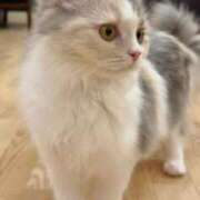 ヒメ日記 2026/02/01 08:04 投稿 うる 花火-hanabi-(すすきの)