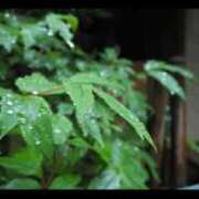 ヒメ日記 2026/02/16 11:13 投稿 うる 花火-hanabi-(すすきの)