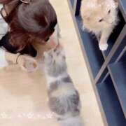 ヒメ日記 2026/02/22 06:31 投稿 うる 花火-hanabi-(すすきの)