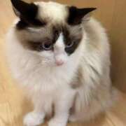 ヒメ日記 2026/02/22 10:13 投稿 うる 花火-hanabi-(すすきの)