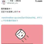 ヒメ日記 2026/02/24 18:13 投稿 うる 花火-hanabi-(すすきの)