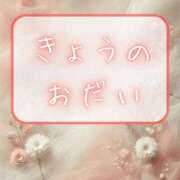 ヒメ日記 2026/02/26 19:43 投稿 うる 花火-hanabi-(すすきの)