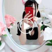 ヒメ日記 2026/02/27 18:21 投稿 かぼす NEO不夜城