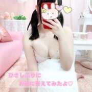 ヒメ日記 2026/02/27 22:29 投稿 かぼす NEO不夜城