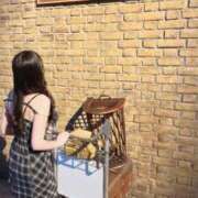 ヒメ日記 2025/08/23 22:05 投稿 ちはる 舐めたくてグループ～君とサプライズ学園～越谷校