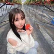 ヒメ日記 2026/04/04 17:15 投稿 ちはる 舐めたくてグループ～君とサプライズ学園～越谷校