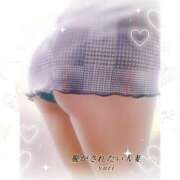 ヒメ日記 2025/10/20 15:00 投稿 ゆり 脱がされたい人妻 越谷店