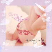 ヒメ日記 2025/11/07 12:00 投稿 ゆり 脱がされたい人妻 春日部店