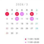 ヒメ日記 2026/02/19 12:22 投稿 東雲みあ LUXE(リュクス)