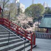 ヒメ日記 2026/03/31 07:15 投稿 金川 渋谷人妻城