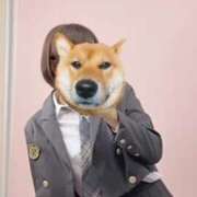 Sayaka(さやか） ※無題 AMATERAS(アマテラス)(福山)