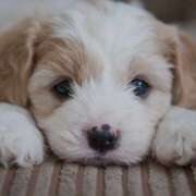 ヒメ日記 2025/08/19 13:18 投稿 川木そら 五十路マダム 徳島店