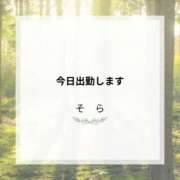 ヒメ日記 2025/09/25 06:46 投稿 川木そら 五十路マダム 徳島店