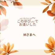 ヒメ日記 2025/10/29 12:02 投稿 川木そら 五十路マダム 徳島店