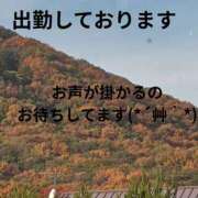 ヒメ日記 2025/12/01 15:38 投稿 川木そら 五十路マダム 徳島店