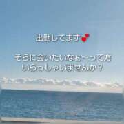川木そら おはようございます? 五十路マダム 徳島店