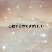 ヒメ日記 2026/01/29 14:44 投稿 川木そら 五十路マダム 徳島店
