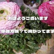 ヒメ日記 2026/03/09 07:48 投稿 川木そら 五十路マダム 徳島店