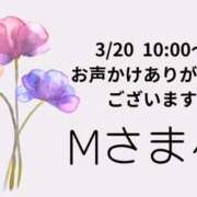 ヒメ日記 2026/03/20 04:46 投稿 川木そら 五十路マダム 徳島店