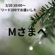 ヒメ日記 2026/03/21 13:04 投稿 川木そら 五十路マダム 徳島店