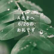 ヒメ日記 2026/06/28 20:32 投稿 川木そら 五十路マダム 徳島店